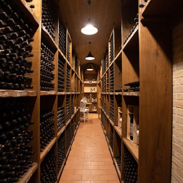 Cantina con bottiglie