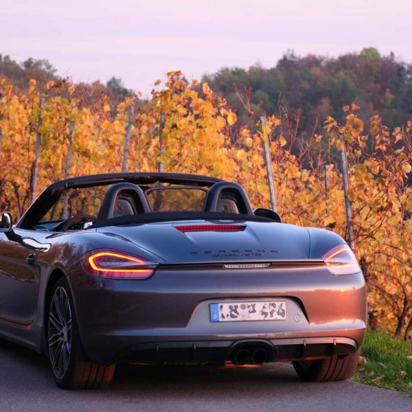 Porsche in campagna